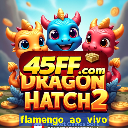 flamengo ao vivo hd play